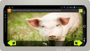 动物运动会攻略大全