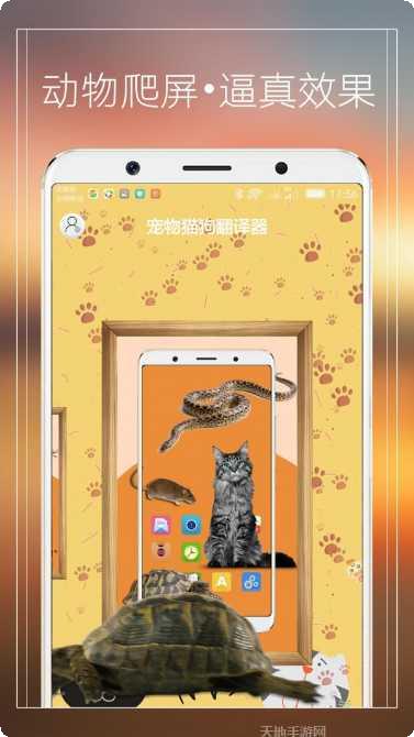 宠物大联盟兑换码领取