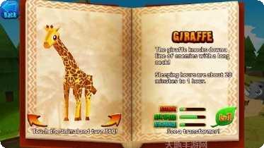 动物塔防战策略攻略