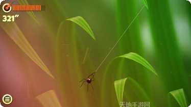 蜘蛛的冒险游戏攻略