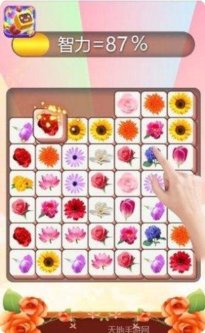 幸运竞技场红包版兑换码