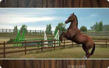 我的马模拟器下载