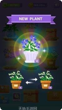 我的休闲花园下载