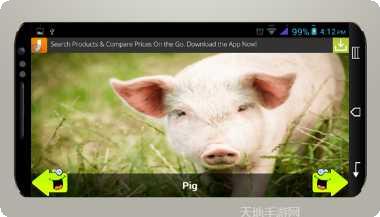 动物运输游戏下载