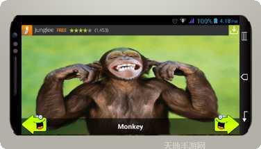 动物运输攻略大全