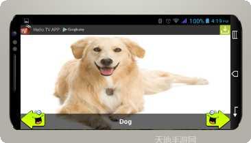 动物运输游戏攻略