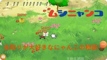 猫咪与昆虫冒险游戏