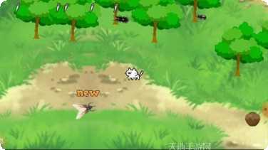 猫咪与昆虫互动体验