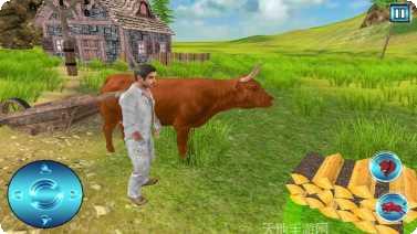 狂野公路之旅最新版本