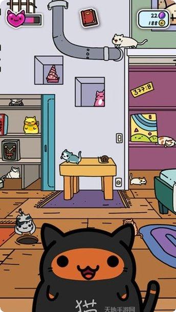 小偷猫砖块游戏评测