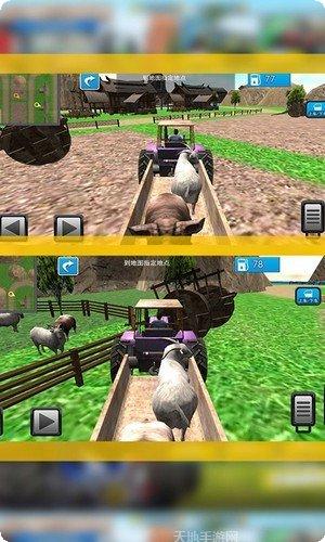 农场收获季农作物种植