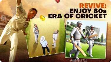 板球世界锦标赛杯下载