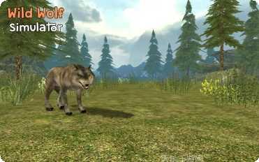 野狼模拟3D玩法介绍
