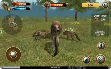 野狼模拟3D安卓版