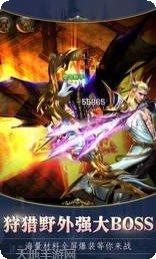 暗黑天域装备搭配