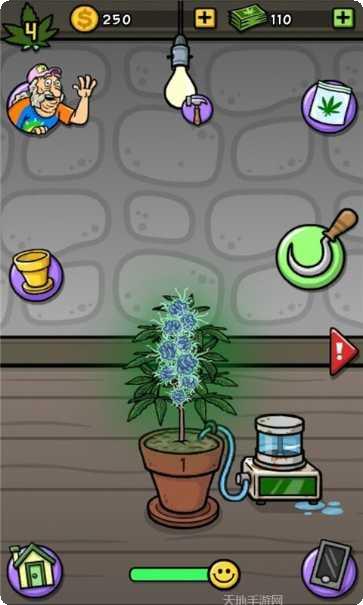 农场经营基层做起下载