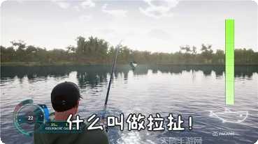 钓鱼天王技巧分享