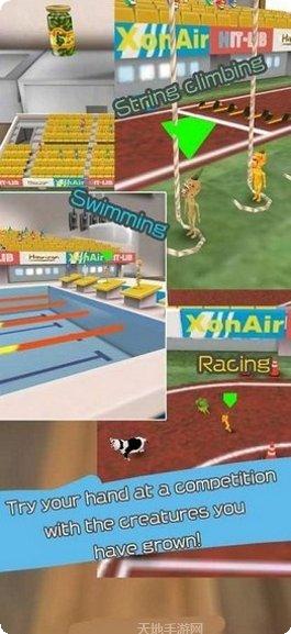 神秘水族馆隐藏任务