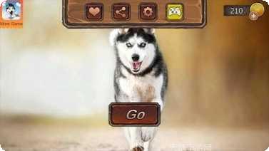 哈士奇萌宠屋攻略