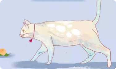 逃跑的冰淇淋最新版本下载