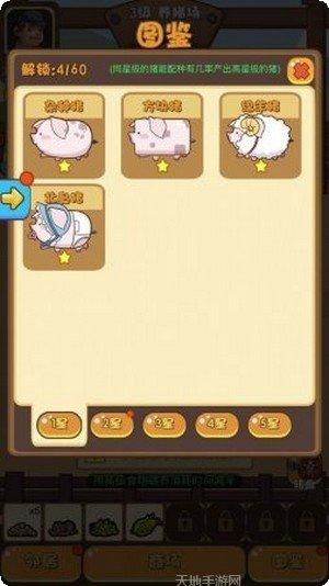 一起养神兽宠物养成