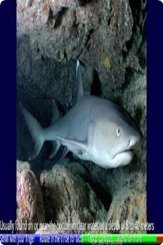 鲨鱼的复仇攻略大全