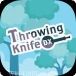 飞刀投掷高手