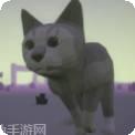 迷失小猫