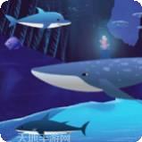 梦幻海岛红包版