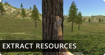 野外生存模拟攻略